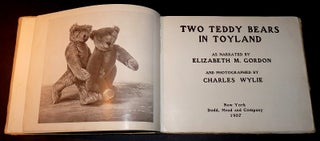 Two Teddy Bears in Toyland