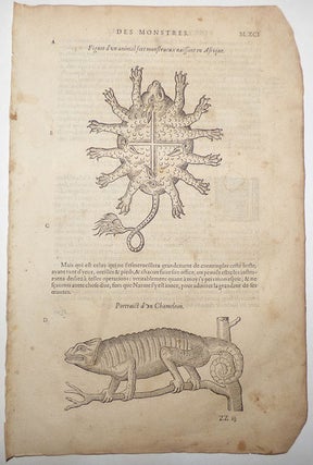 Item #008793 16th-century leaf with two illustrations, one of a chameleon and one of a...