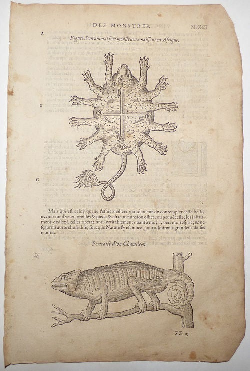 Item #008793 16th-century leaf with two illustrations, one of a chameleon and one of a turtle-like African beast from Ambroise Paré’s Monsters. Ambroise Paré.
