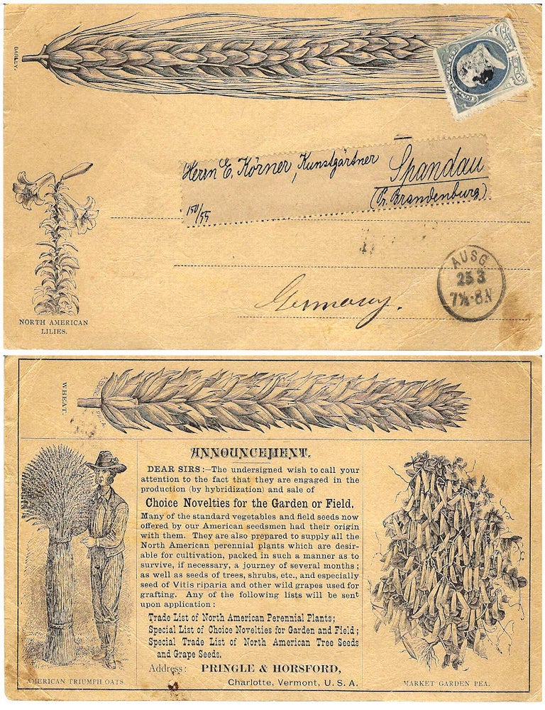 Item #010769 Circa 1883 &ndash; Pioneer illustrated international postcard advertising wheat, oats, peas, and lilies sent from Vermont to Spandau, Germany. Pringle, Horsford Nursery.